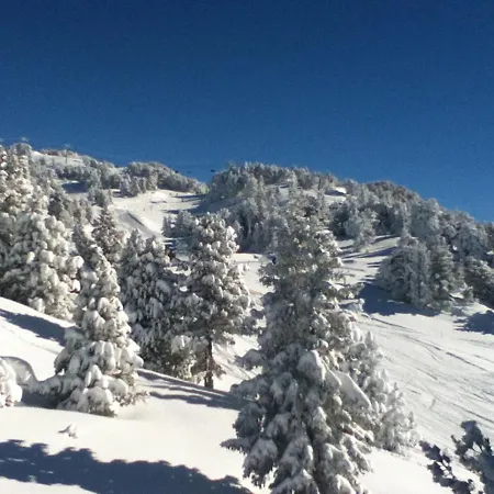 Studio Chamrousse, 1 Pièce, 4 Personnes - Fr-1-549-99 Chamrousse